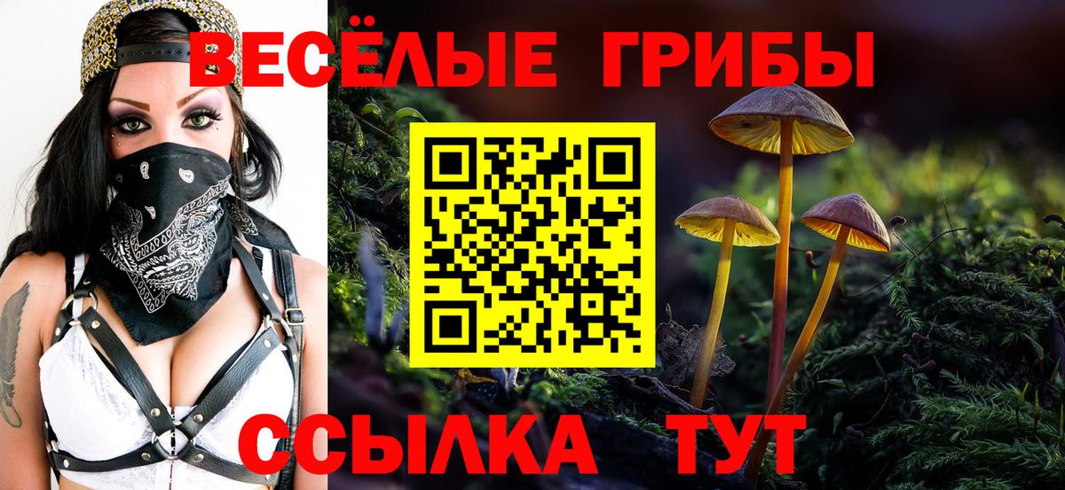 Псилоцибиновые грибы прущие грибы  продажа наркотиков  Ревда  Вход с VPN 